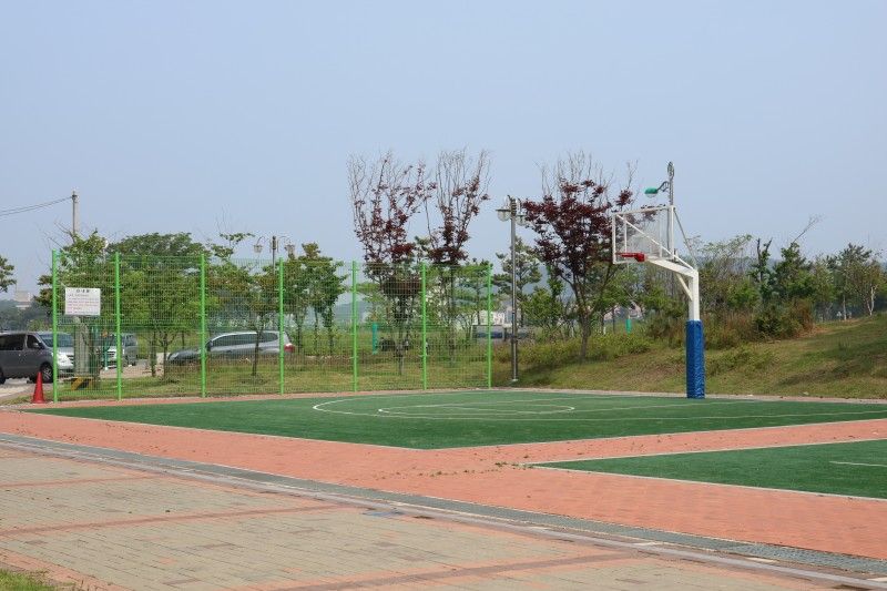 펜션 1분거리 소나무공원 농구장